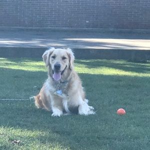 Meet your Posher, Catherine
